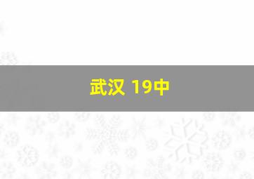 武汉 19中